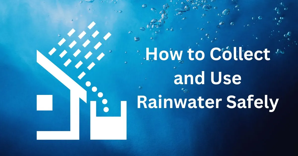 How to Collect and Use Rainwater Safely